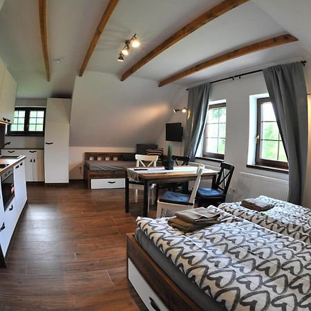 Apartmány U Fibichů Orlicke Zahori Exterior foto